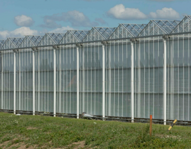 Vraag Energie-efficiëntie glastuinbouw (EG) subsidie aan vanaf 15 april 2025