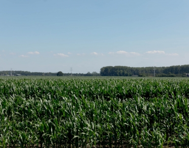 De European Green Deal call is geopend