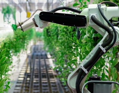 NWO publiceert KIC-call voor AI-technieken in landbouw, horticultuur, water en voedsel