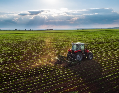 Investeren in groen-economisch herstel