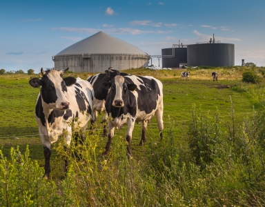 Programma Groen Gas