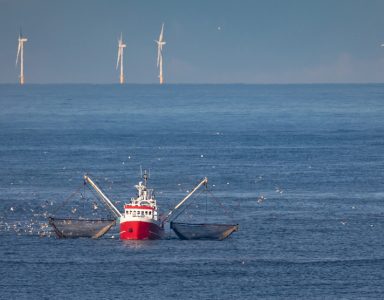 European Maritime Fisheries and Aquaculture Fund (EMFAF)