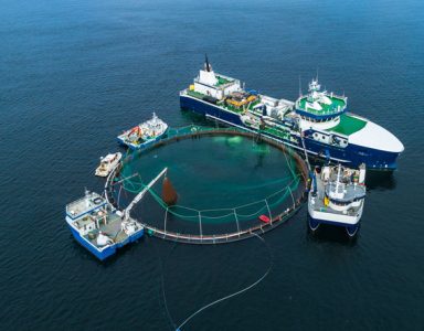 EMFAF subsidie in 2025: kansen voor organisaties binnen de visserij- en aquacultuursector