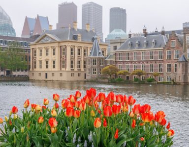 Prinsjesdag 2025: het belangrijkste subsidienieuws