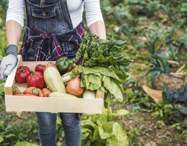 Vergroten afzet van biologische landbouwproducten (Vabiola)