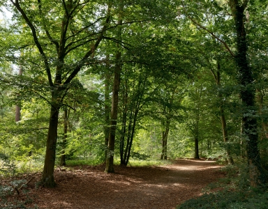 LIFE calls 2026 geopend: nieuwe kansen voor natuur, milieu en klimaat projecten