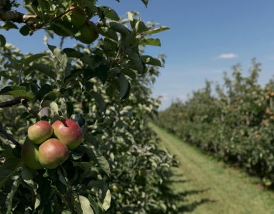 Foodvalley Summits 2020 | Shaping the future of food together