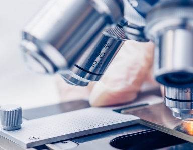 The EIC 2025 grant programmes adopted and published