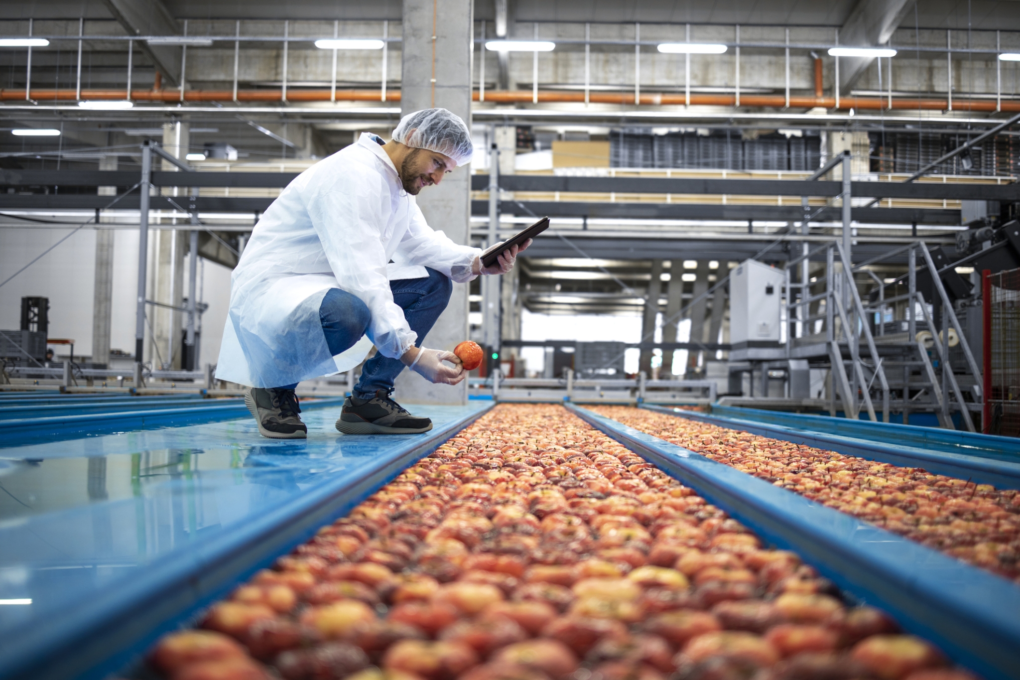 Food production image