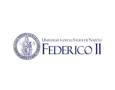 University of Naples Federico II