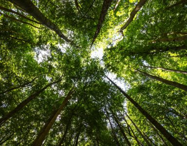 LIFE 2026 calls for proposals open for applications on 21 April