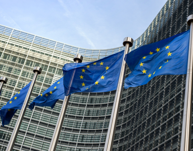 European Commission proposes more flexible State aid rules for regions and companies in difficulty